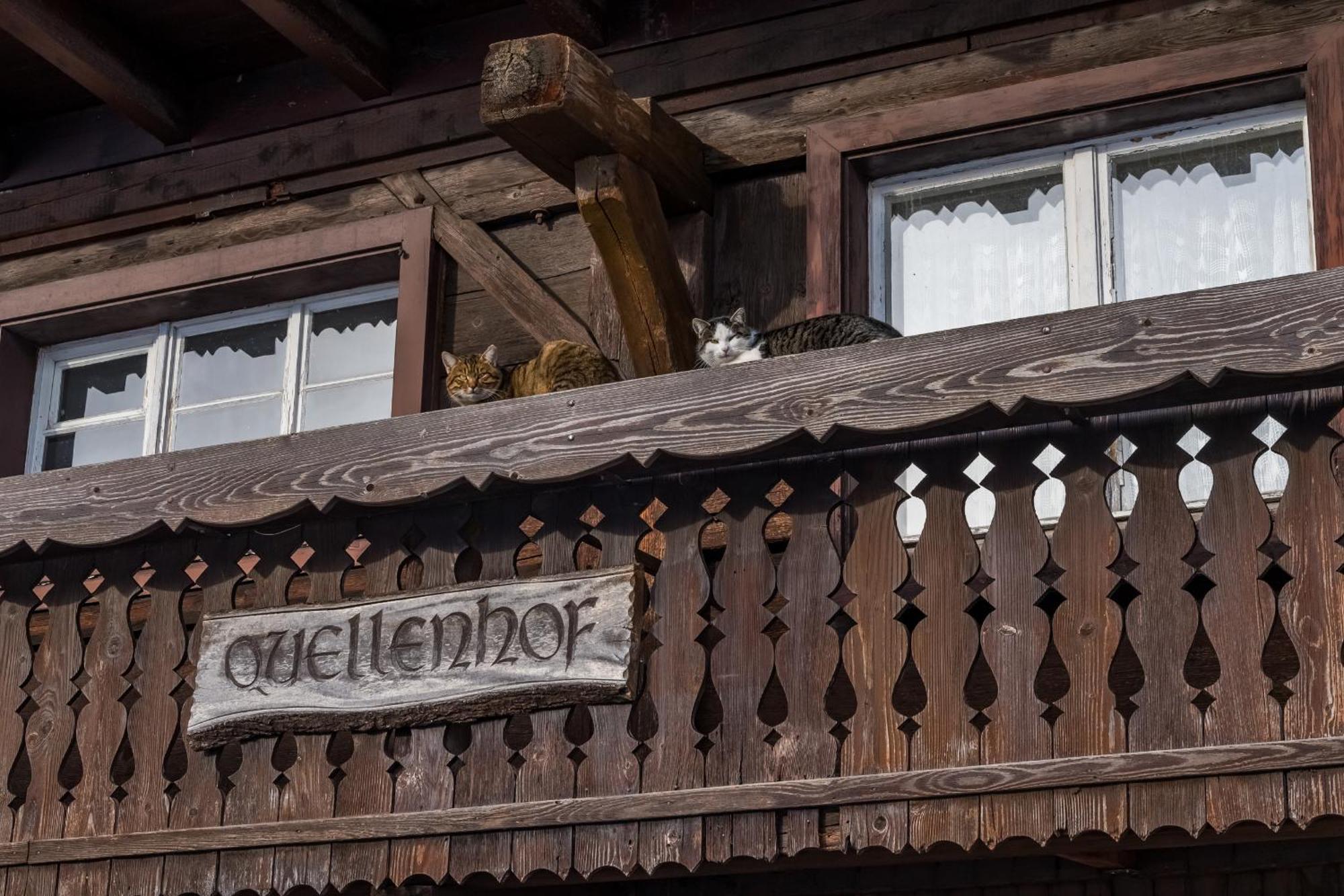 Schwarzwaldliebe Apartment Frohnd Exterior photo