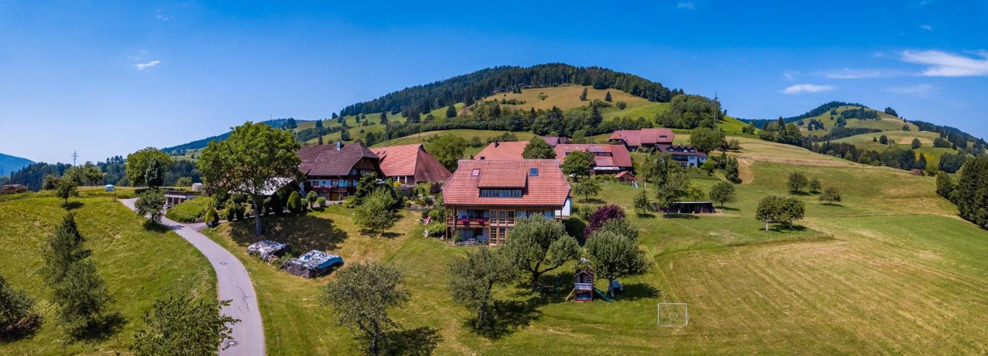 Schwarzwaldliebe Apartment Frohnd Exterior photo