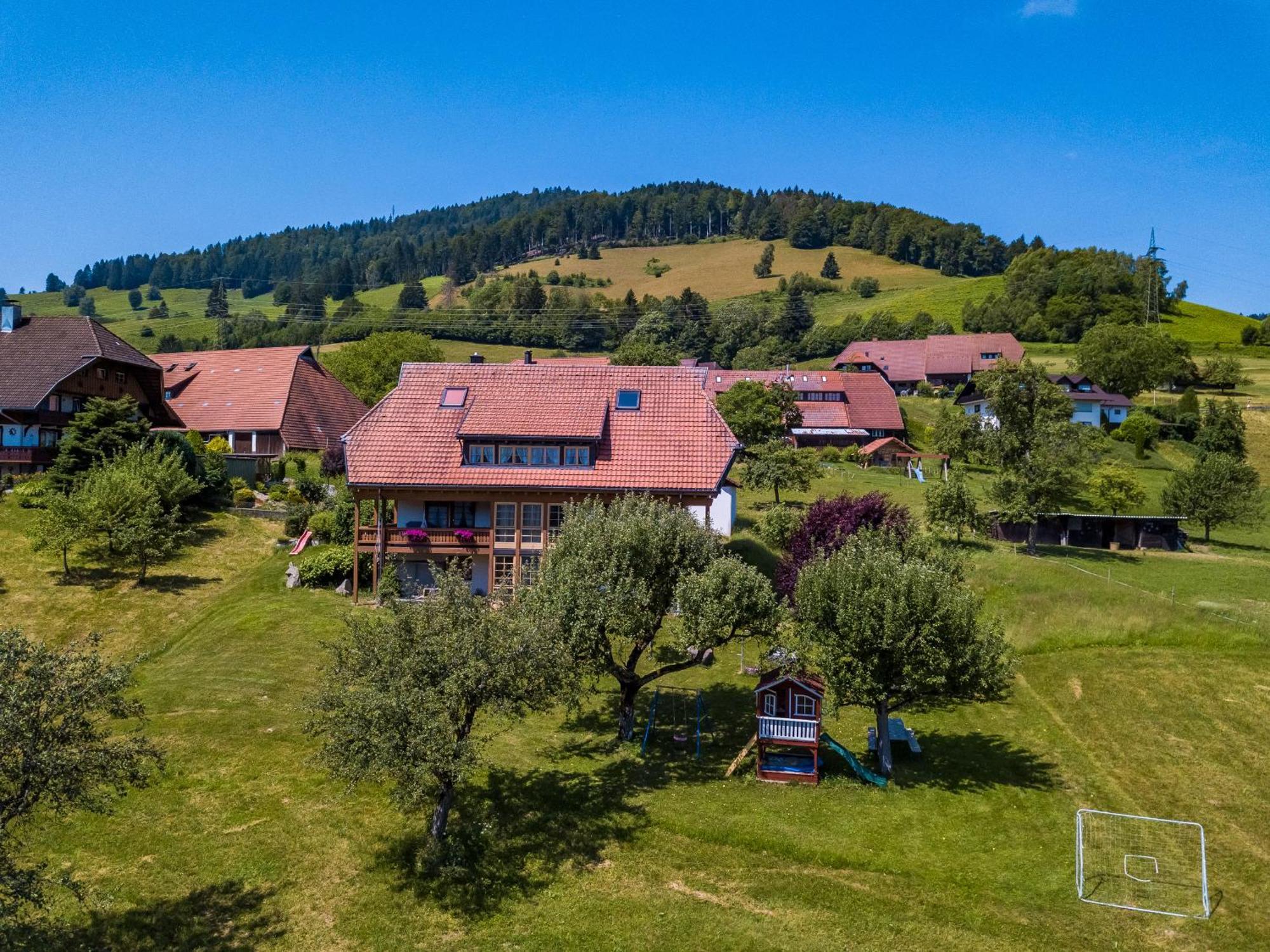Schwarzwaldliebe Apartment Frohnd Exterior photo